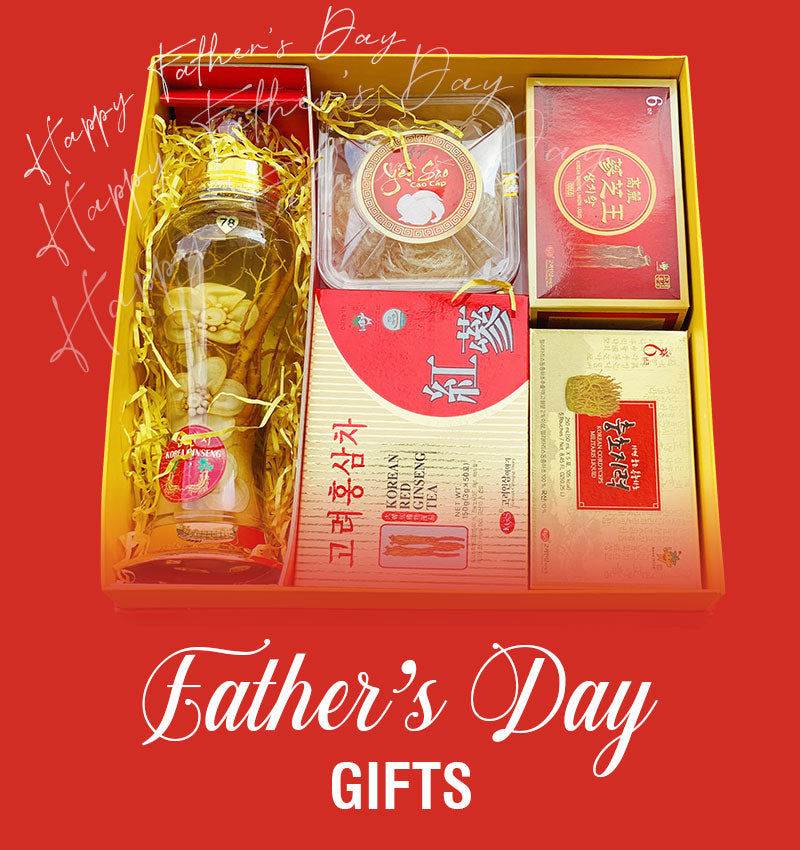 fathers day gifts vietnam banner