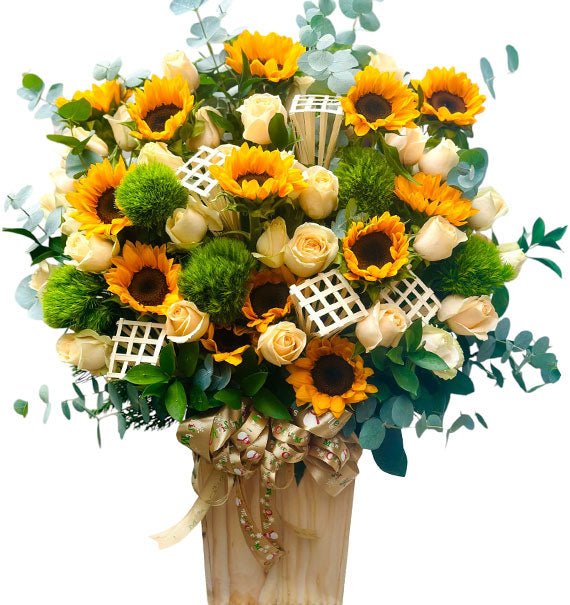 Flying Without Wings