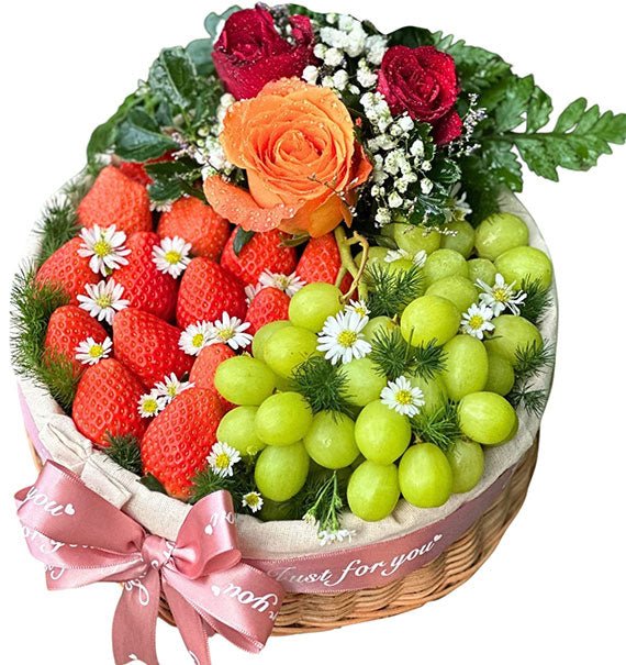 Fruitful Joy Box Christmas Vietnam