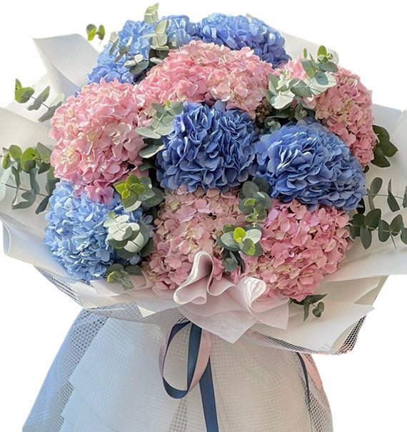 Garden Bliss Hydrangeas Vietnam