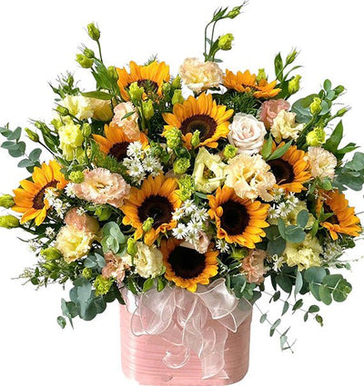 Gentle Sunshine