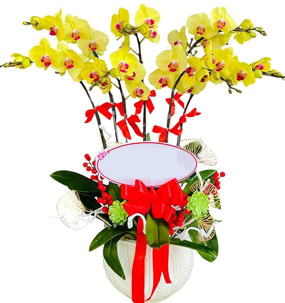 Graceful Orchid Pot For Her Womens Day Vietnam