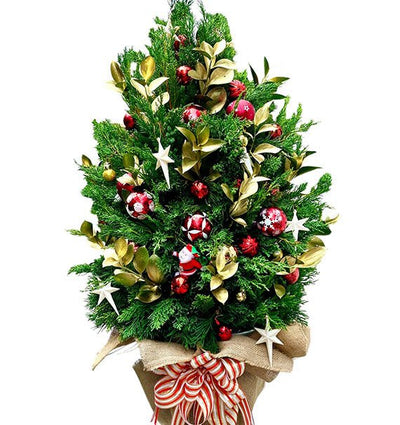 Green Christmas Tree - HCM ONLY