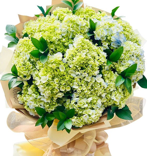 Green Hydrangea Bouquet Vietnam
