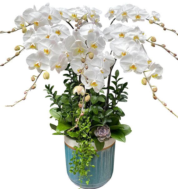 Heartfelt Orchids Funeral Vietnam