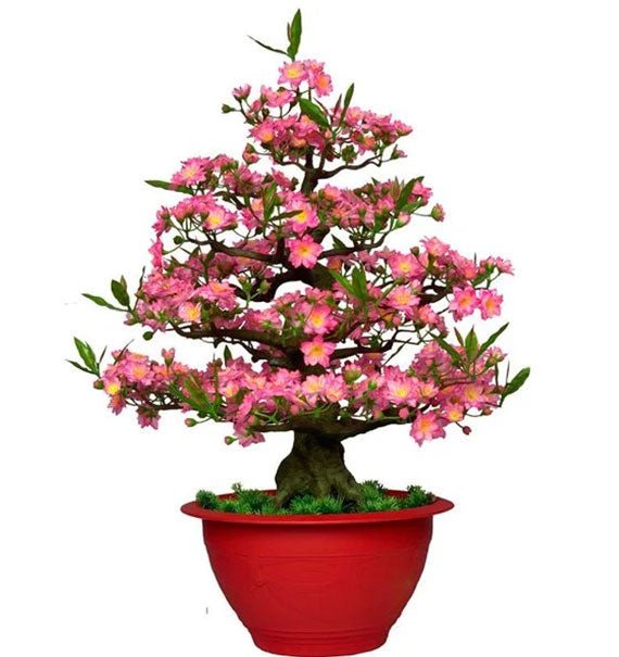 Hoa Dao Artificial Flowers Plant Tet Vietnam