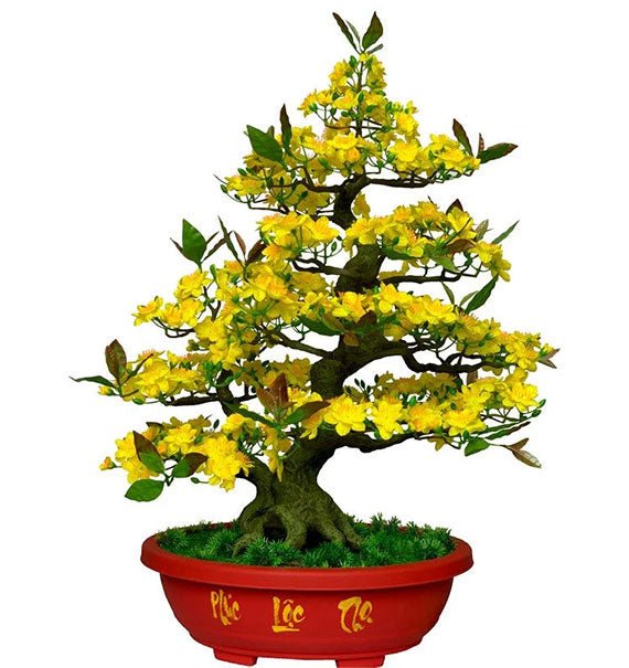 Hoa Mai Artificial Flowers Plant Tet Vietnam