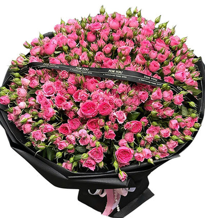 Hot Kiss Roses