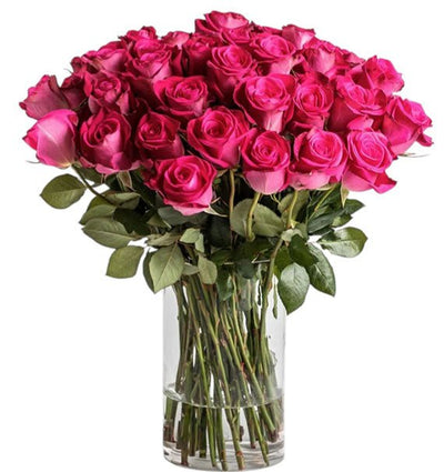 Hot Pink Ecuadorian Roses In Vase (Pre-Order)