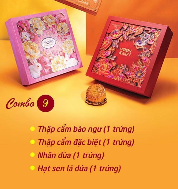 Hy Lam Mon Mooncake Vietnam Combo 9