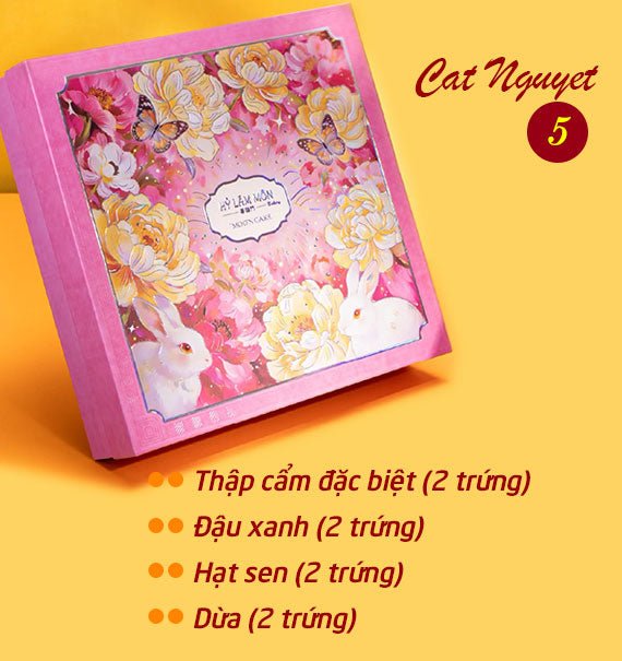 Hy Lam Mon Mooncake Vietnam Combo Cat Nguyet 5