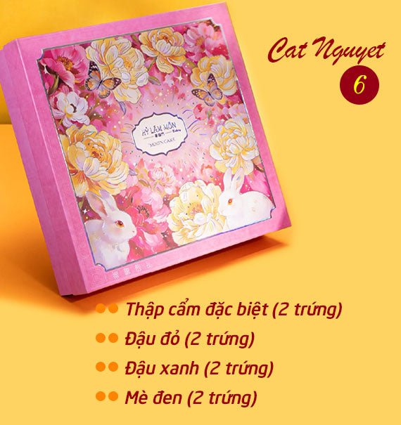 Hy Lam Mon Mooncake Vietnam Combo Cat Nguyet 6