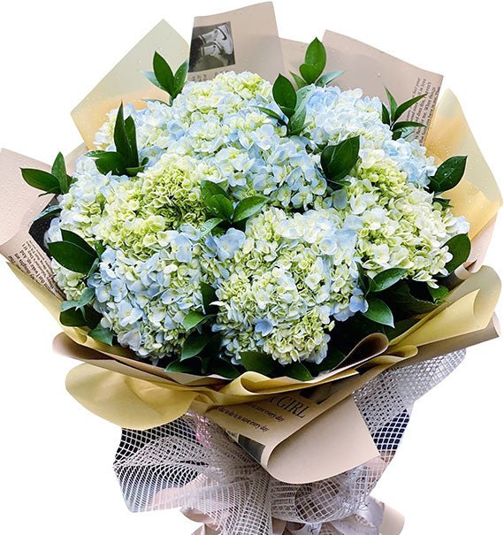 Hydrangea Bouquet