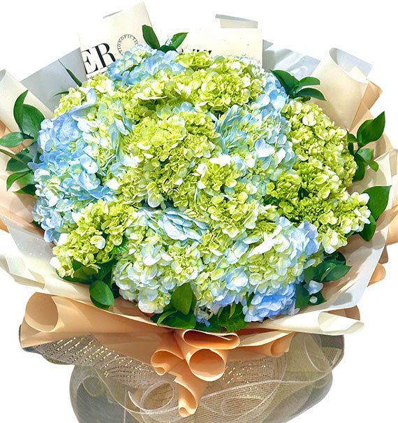 Hydrangea Flower Delivery Vietnam