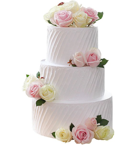 Ivory Dream Cake Vietnam