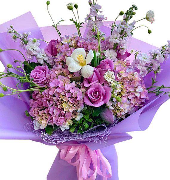 Lavender Dream Hydrangeas Vietnam