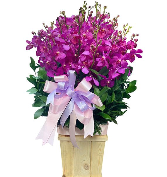 Lavender Orchid In Basket