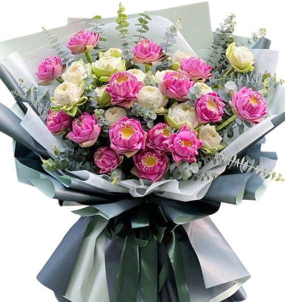 Lotus Flowers Vietnam