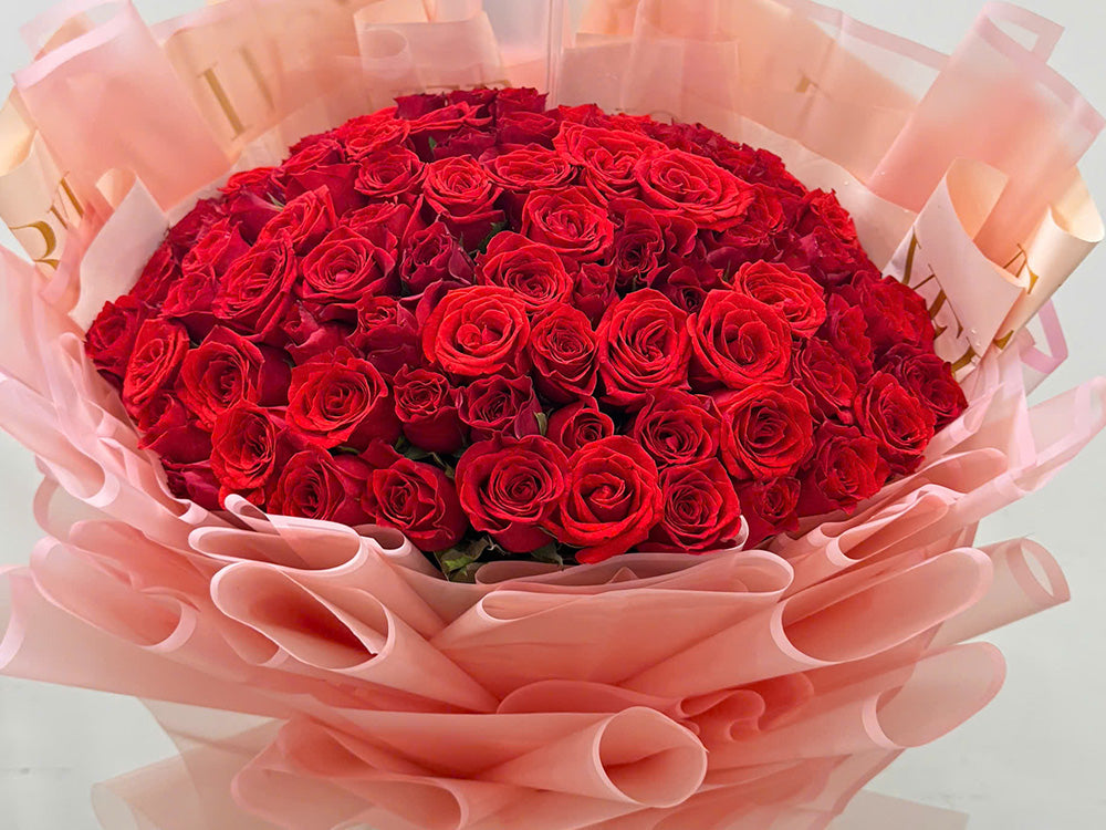 Classic Red Roses