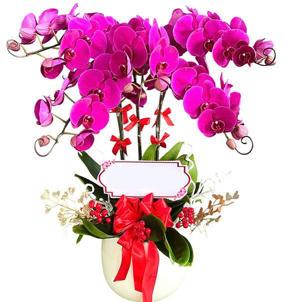 Luxury Orchid Pot For Her Womens Day Vietnam