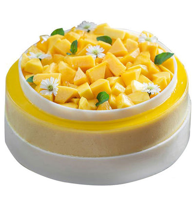 Mango Mousse Cake - HCM ONLY