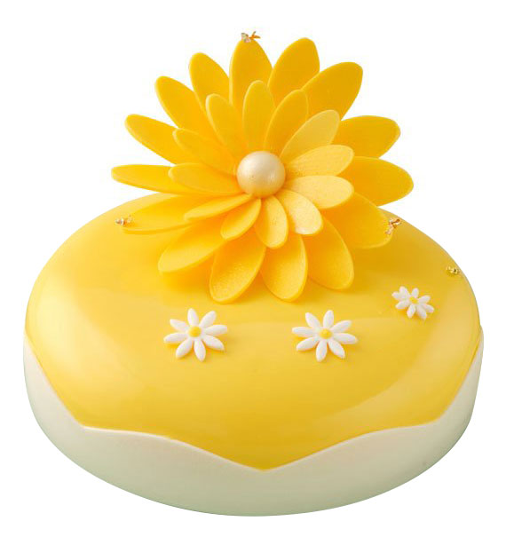 Mango Plum Cakes Vietnam