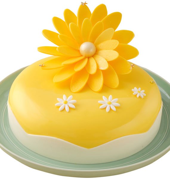 Mango Plum Cakes Vietnam