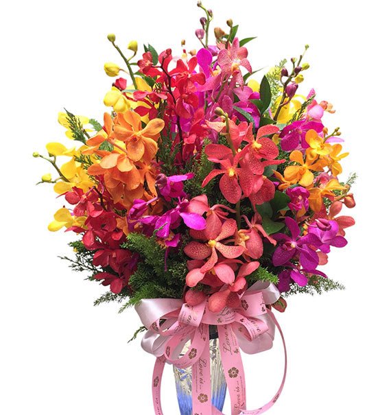 Mixed Orchids In Vase
