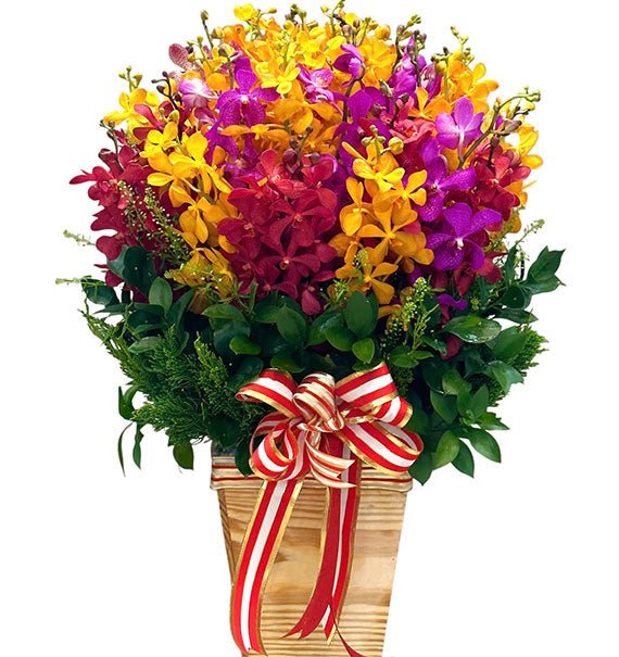 Mokara Orchids In A Basket