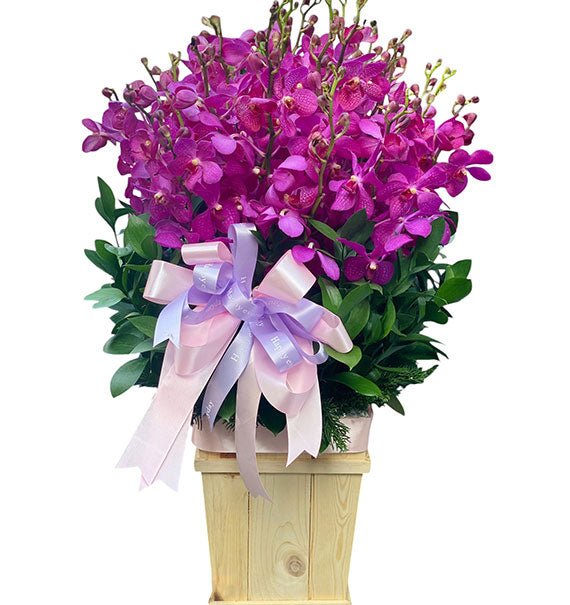 Mothers Day Orchid Basket Vietnam