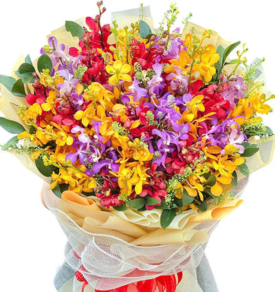 Mother's Day Orchids