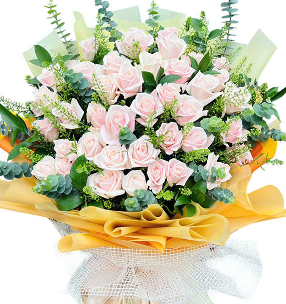 My Gentle Valentine Roses Vietnam