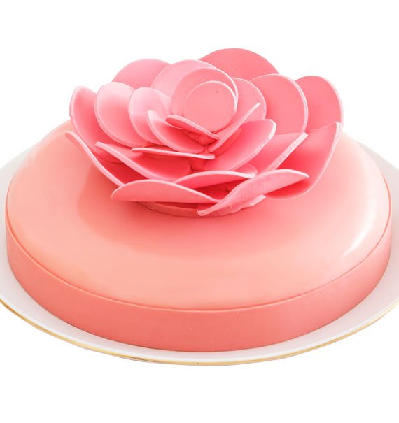 My Muse Cakes Vietnam