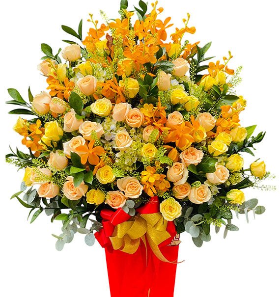 New Year Radiance Tet Vietnam