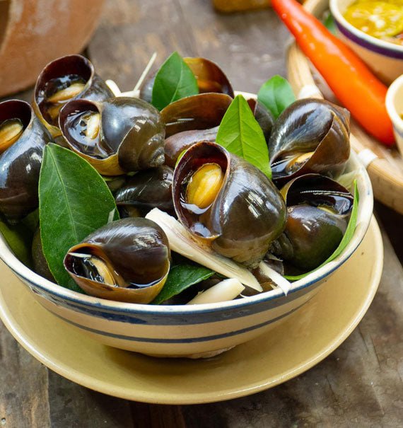 Oc Buou Hap Sa Fresh Seafood