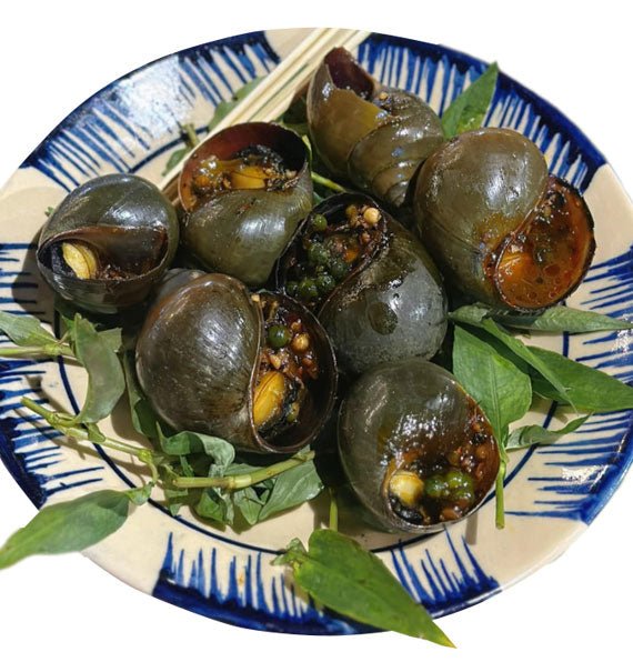 oc buou nuong tieu xanh vietnam