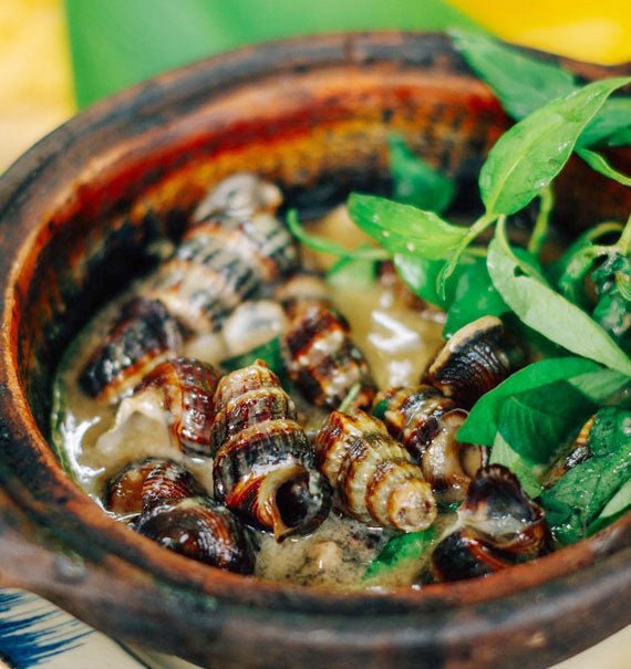 Oc Len Xao Dua Fresh Seafood