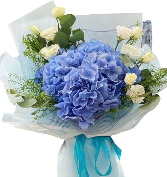 Ocean Breeze Hydrangeas Vietnam