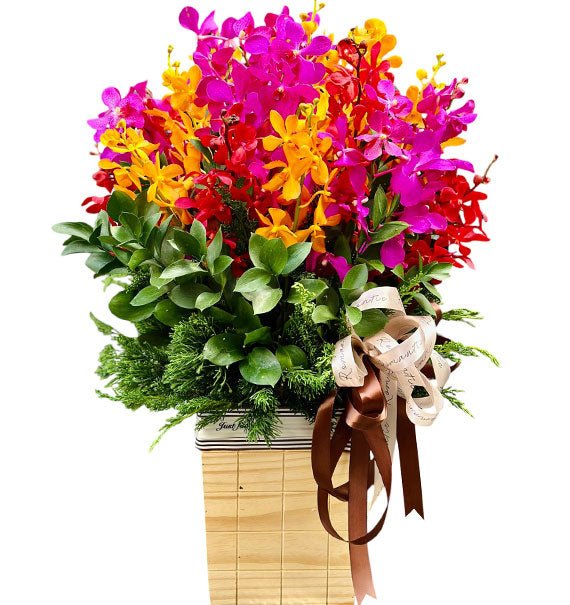 Orchid Basket For Father's Day Vietnam