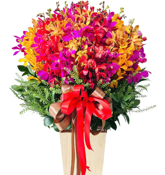 Orchid Basket For Tet Vietnam