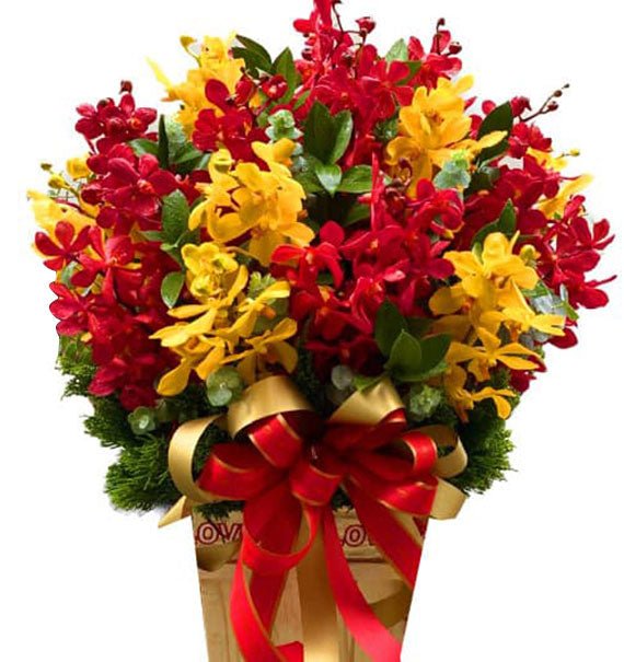 Orchid Basket For Tet Vietnam