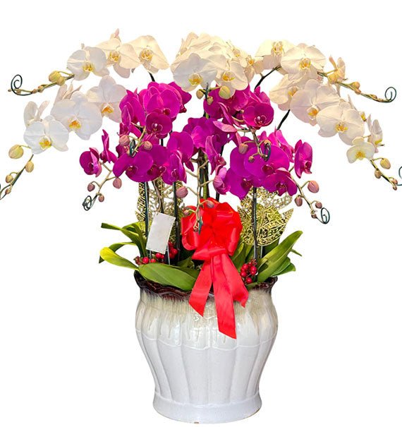 Orchid Floral Tribute Sympathy Vietnam