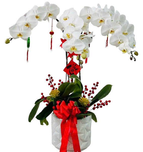 Orchid Flower Pot For Mother Vietnam