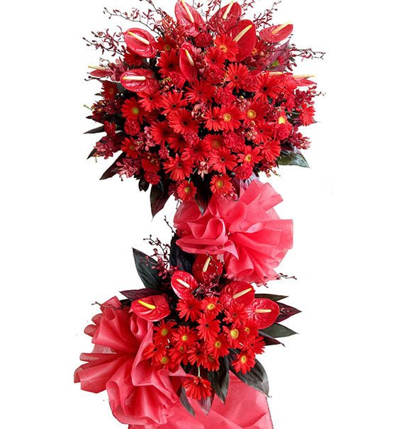 Passionate Opening Standing Flower Vietnam