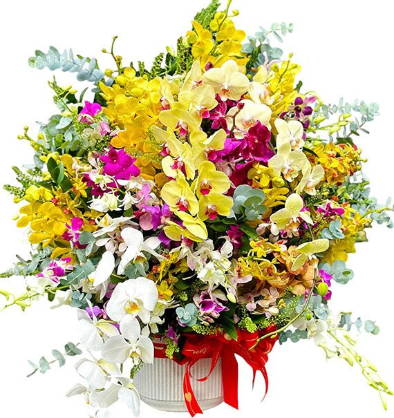 Phalaenopsis Orchids Love In Vase Mothers Day Vietnam