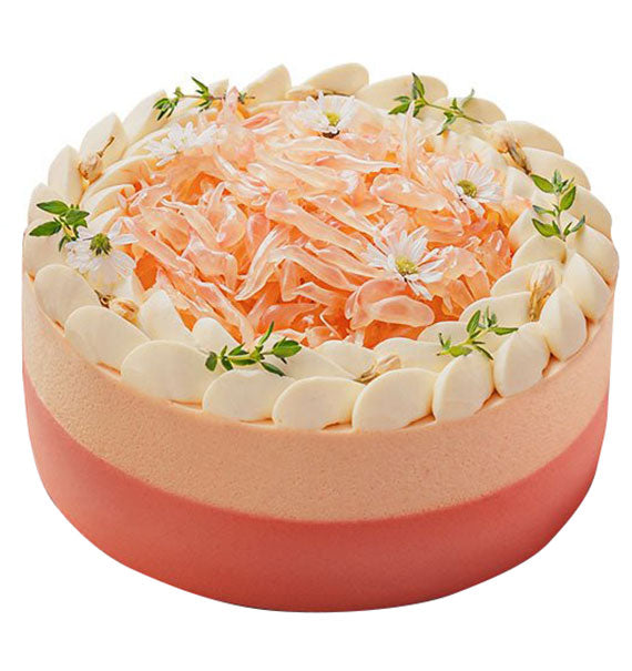 Pink Grapefruit Mousse Cake Vietnam