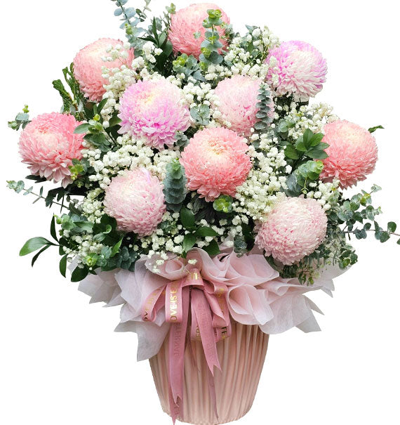 Pink Velvet Dreams Valentines Flowers Vietnam