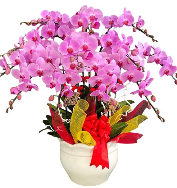 Potted Purple Orchid 12 Branches