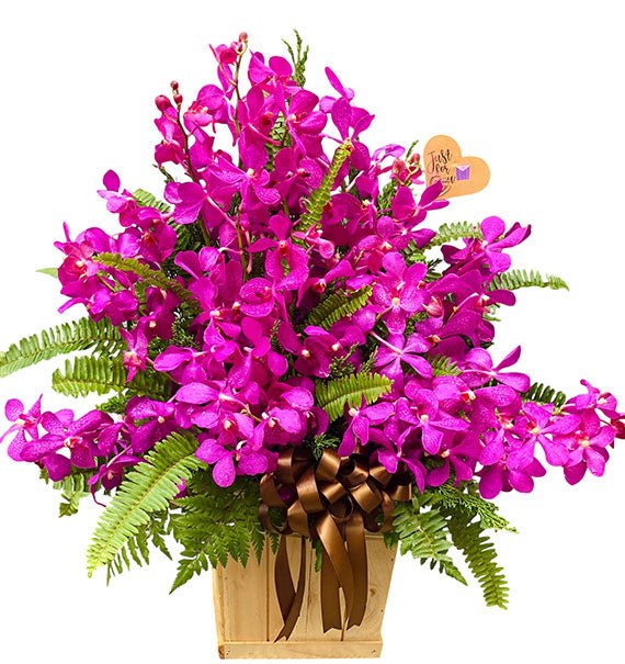 Purple Mokara Orchid Basket For Mom Vietnam