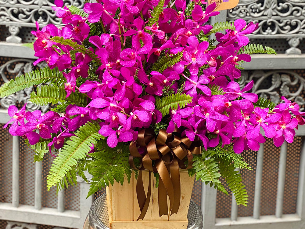 purple orchid flower basket